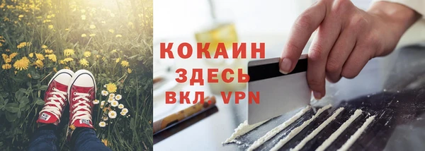 spice Липки
