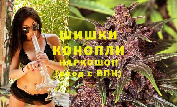 spice Липки